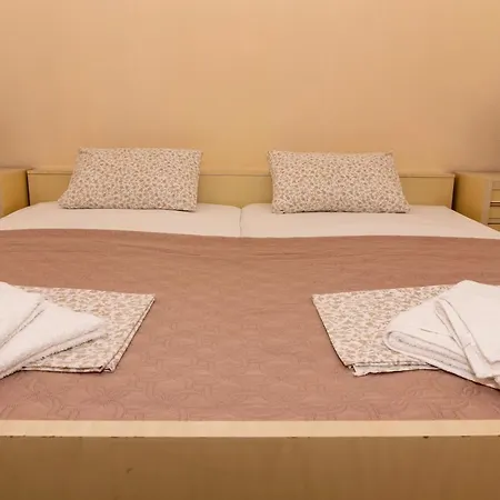 vicky guesthouse *